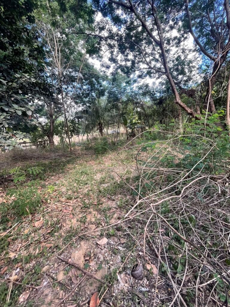 Chácara de 2.000 mts2 no Recanto dos Sonhos — foto 5
