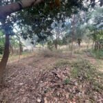 Chácara de 2.000 mts2 no Recanto dos Sonhos — foto 8