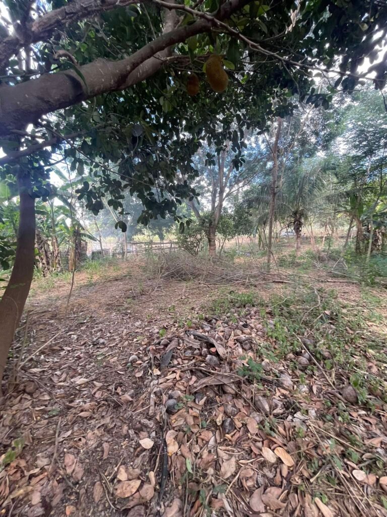 Chácara de 2.000 mts2 no Recanto dos Sonhos — foto 8