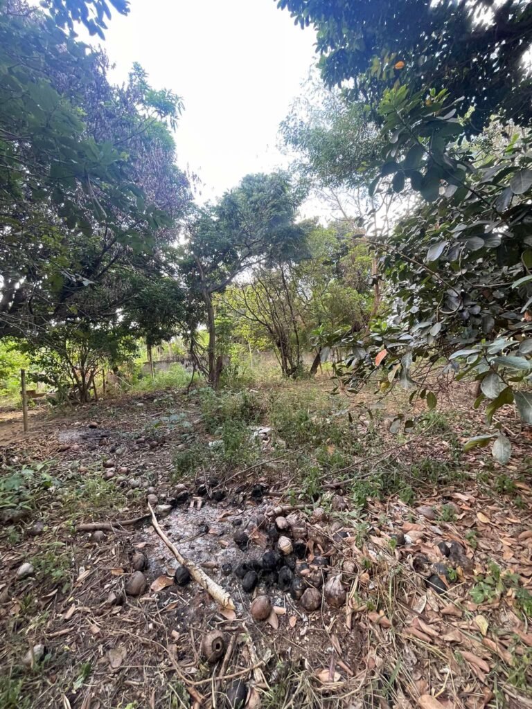 Chácara de 2.000 mts2 no Recanto dos Sonhos — foto 7
