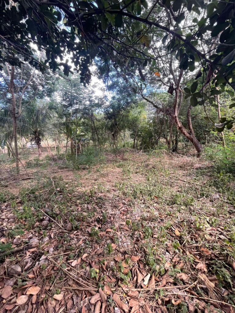 Chácara de 2.000 mts2 no Recanto dos Sonhos — foto 6
