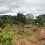 Chácara com fundo para o Rio Doce — foto 7