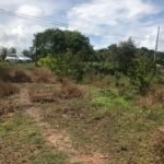 Chácara com fundo para o Rio Doce — foto 6