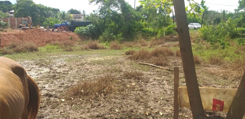 Chácara com fundo para o Rio Doce — foto 2