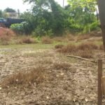 Chácara com fundo para o Rio Doce — foto 2