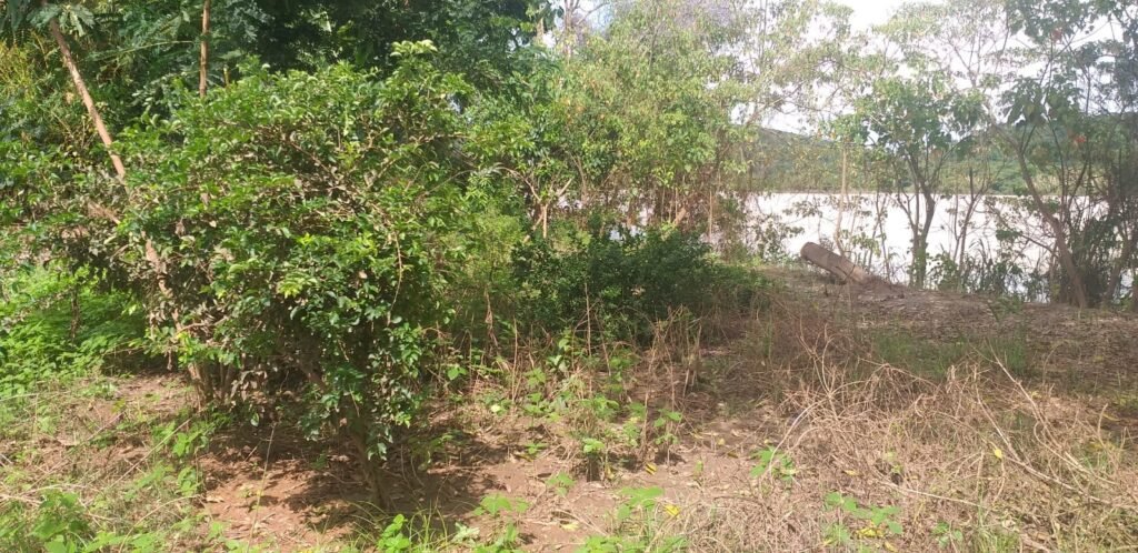 Chácara com fundo para o Rio Doce — foto 3
