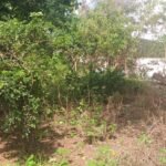 Chácara com fundo para o Rio Doce — foto 3