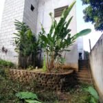 Lote com Construção no Bairro Capim — foto 11