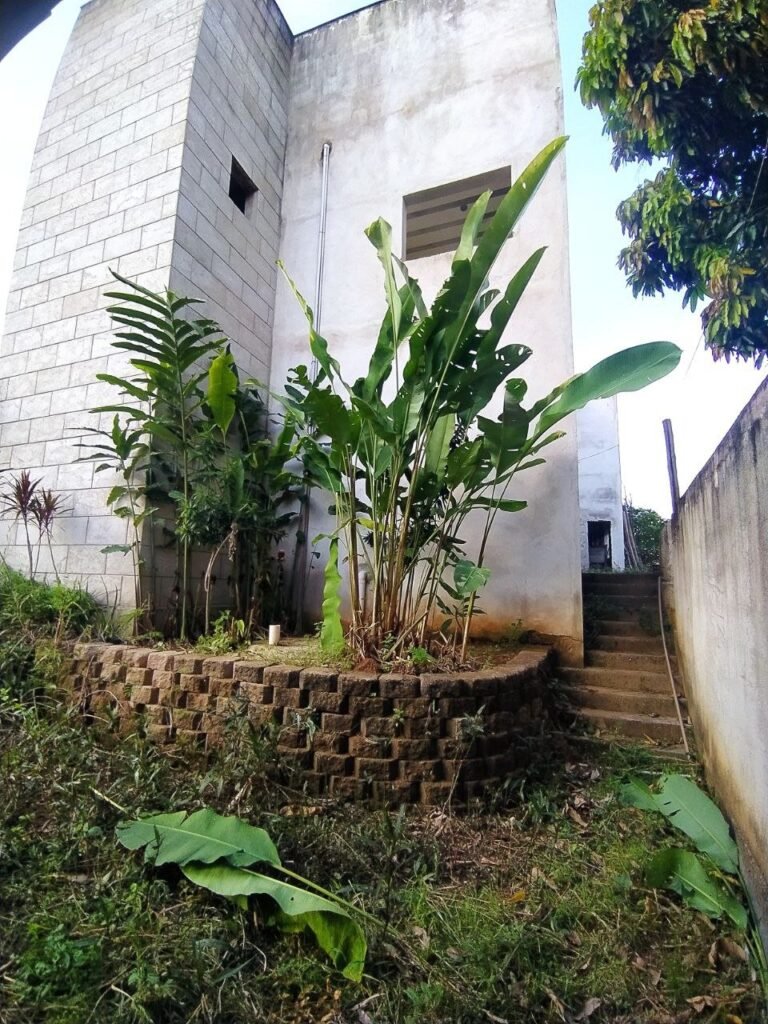 Lote com Construção no Bairro Capim — foto 11