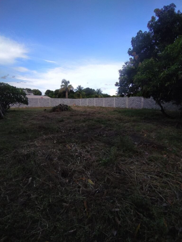 Lote com Construção no Bairro Capim — foto 10