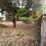 Lote com Construção no Bairro Capim — foto 8
