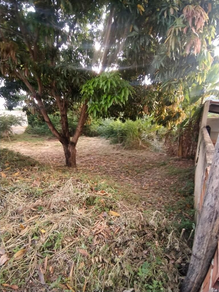 Lote com Construção no Bairro Capim — foto 8