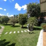 Chácara no Bairro Capim — foto 7