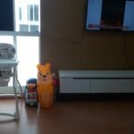 Apartamento 3ª Andar MRV – Castanheiras — foto 11
