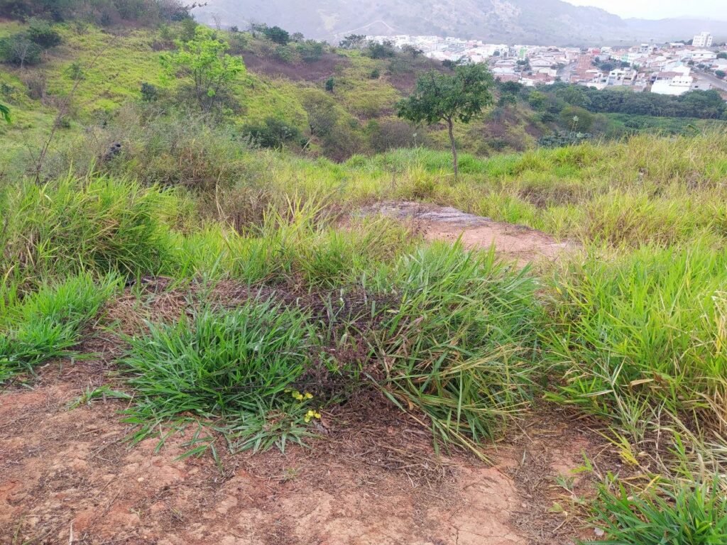 Lote no Alto Vera Cruz — foto 2