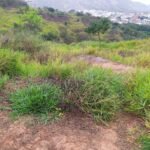 Lote no Alto Vera Cruz — foto 2