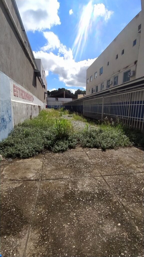Lote na Av. Minas Gerais — foto 2