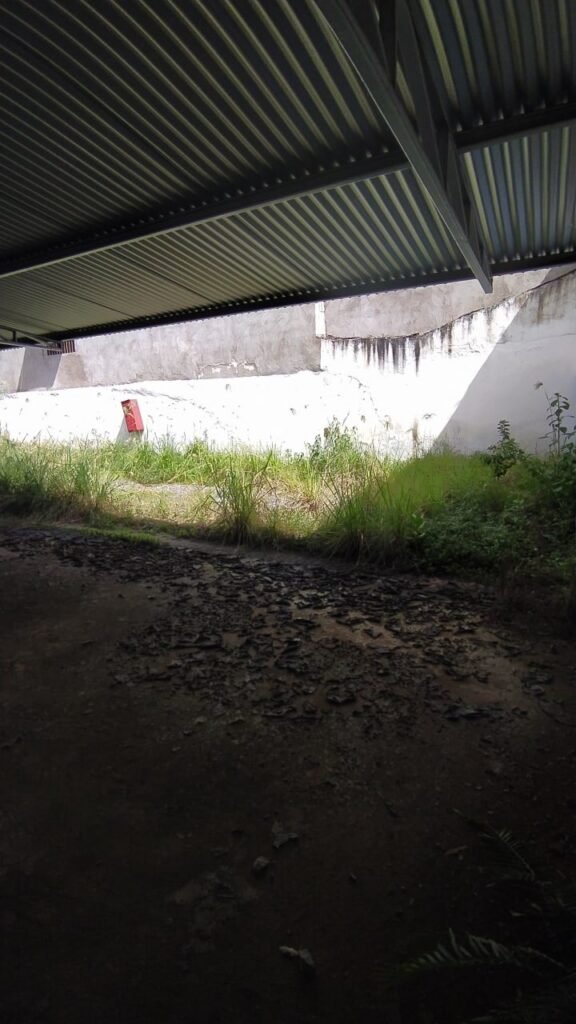 Lote na Av. Minas Gerais — foto 4
