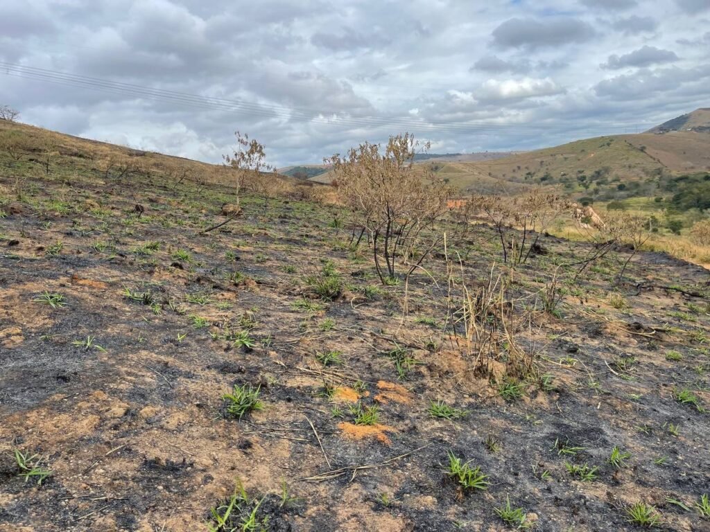 Chácara de 5 Mil mts ( Próxima ao Posto Cherokee — foto 2