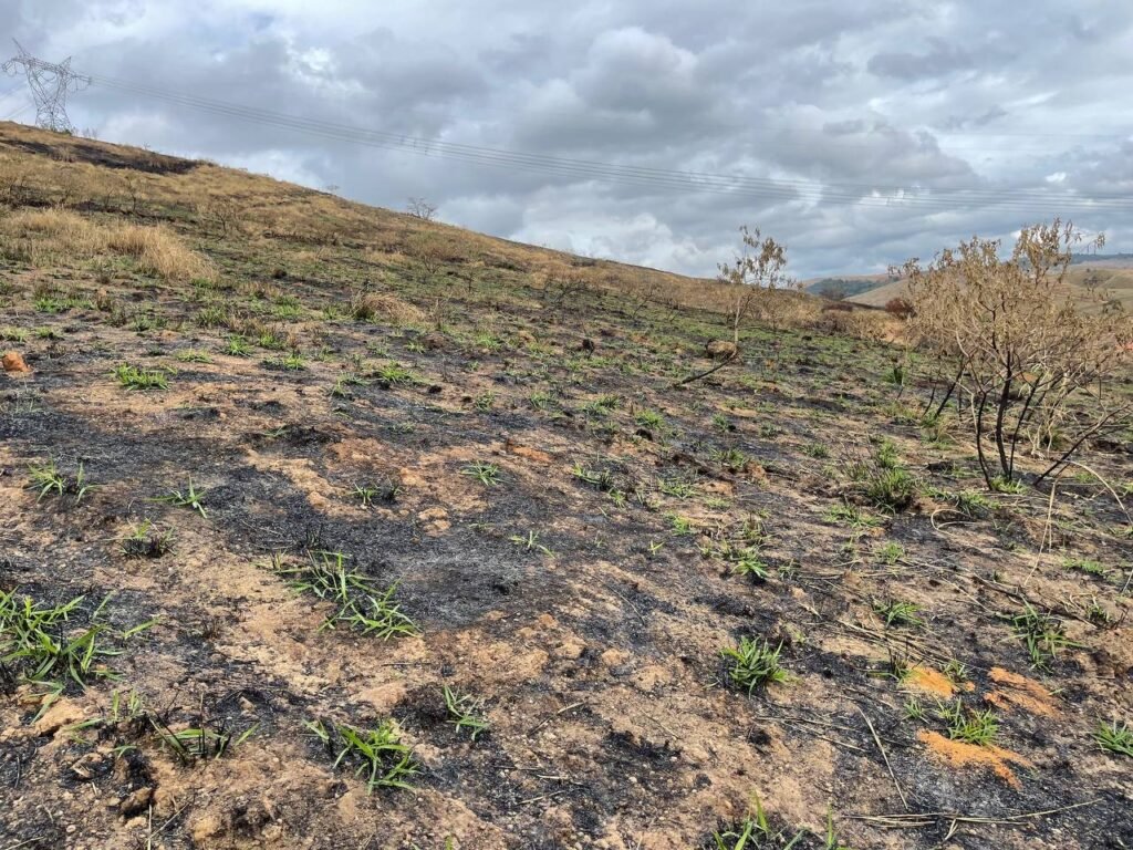 Chácara de 5 Mil mts ( Próxima ao Posto Cherokee — foto 3