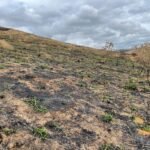 Chácara de 5 Mil mts ( Próxima ao Posto Cherokee — foto 3