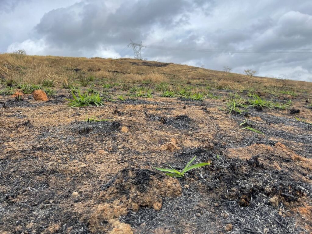 Chácara de 5 Mil mts ( Próxima ao Posto Cherokee — foto 26