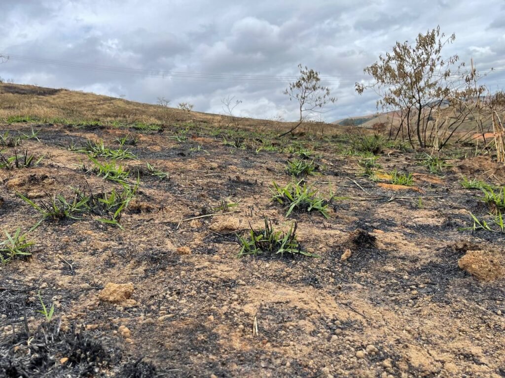 Chácara de 5 Mil mts ( Próxima ao Posto Cherokee — foto 4