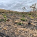 Chácara de 5 Mil mts ( Próxima ao Posto Cherokee — foto 4