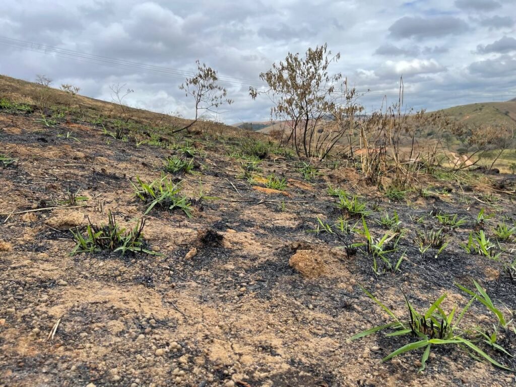 Chácara de 5 Mil mts ( Próxima ao Posto Cherokee — foto 5