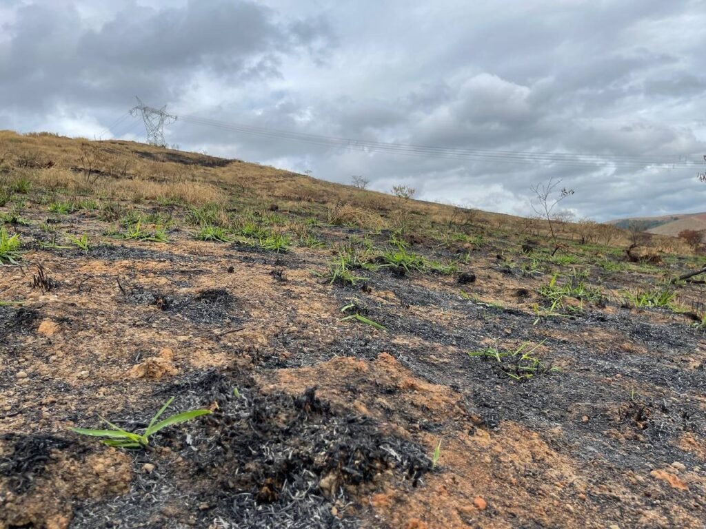 Chácara de 5 Mil mts ( Próxima ao Posto Cherokee — foto 25