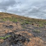 Chácara de 5 Mil mts ( Próxima ao Posto Cherokee — foto 25