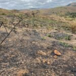 Chácara de 5 Mil mts ( Próxima ao Posto Cherokee — foto 24