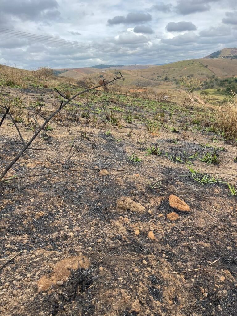 Chácara de 5 Mil mts ( Próxima ao Posto Cherokee — foto 24