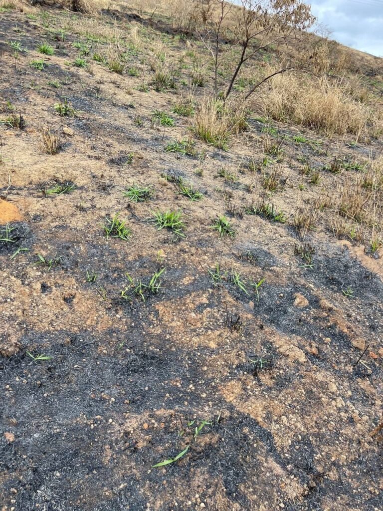 Chácara de 5 Mil mts ( Próxima ao Posto Cherokee — foto 22