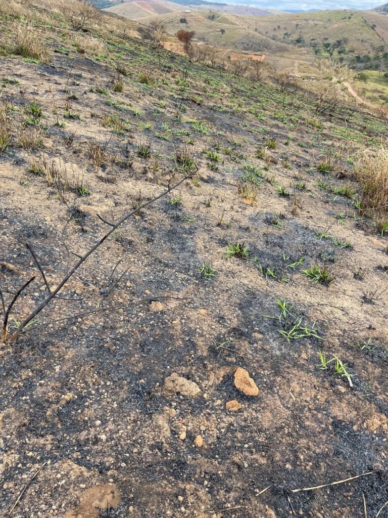 Chácara de 5 Mil mts ( Próxima ao Posto Cherokee — foto 21