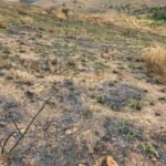 Chácara de 5 Mil mts ( Próxima ao Posto Cherokee — foto 20