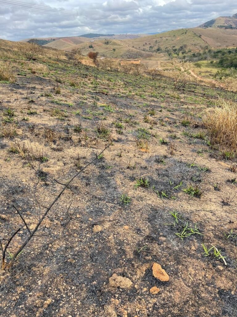 Chácara de 5 Mil mts ( Próxima ao Posto Cherokee — foto 20