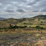 Chácara de 5 Mil mts ( Próxima ao Posto Cherokee — foto 19