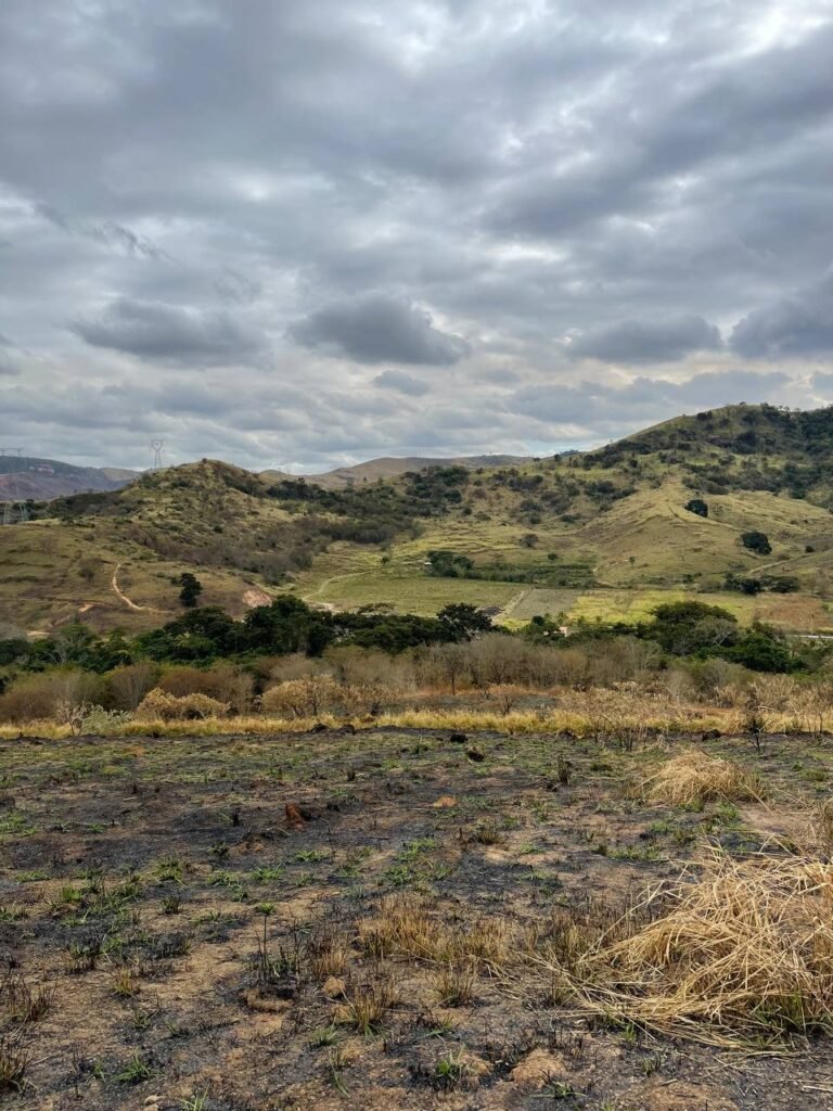 Chácara de 5 Mil mts ( Próxima ao Posto Cherokee — foto 19