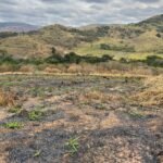 Chácara de 5 Mil mts ( Próxima ao Posto Cherokee — foto 18