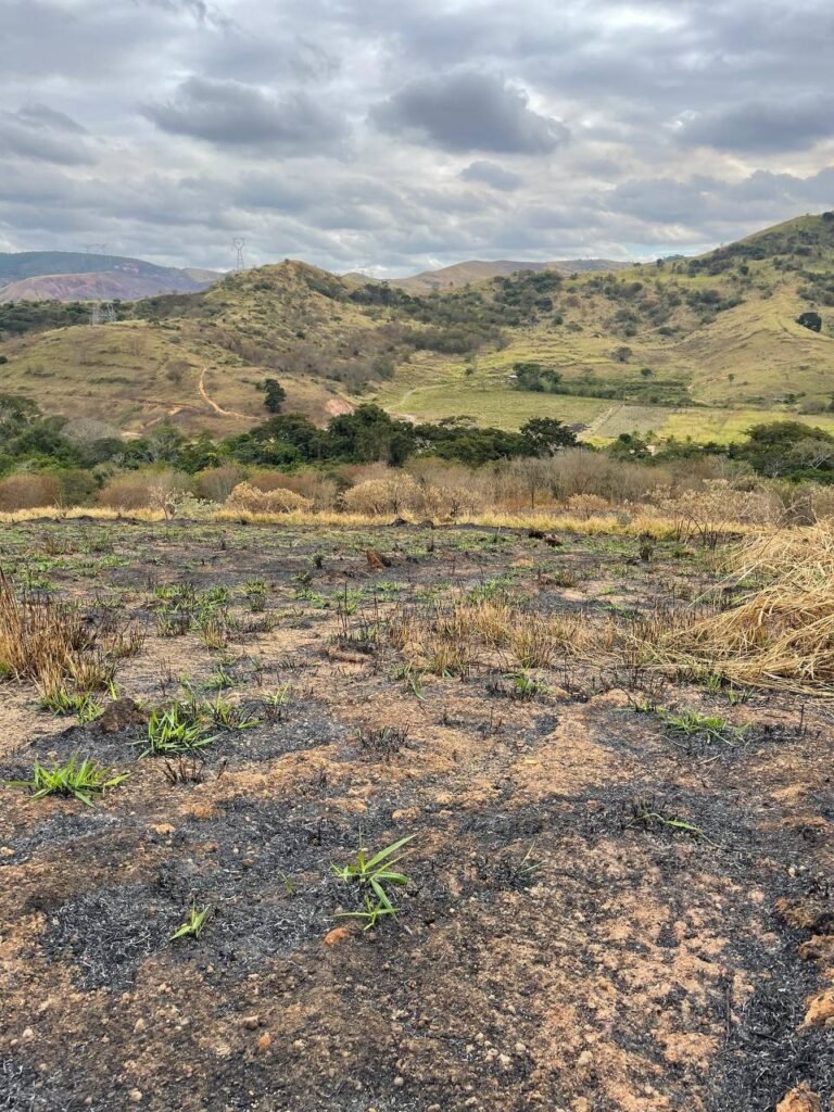Chácara de 5 Mil mts ( Próxima ao Posto Cherokee — foto 18