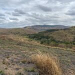 Chácara de 5 Mil mts ( Próxima ao Posto Cherokee — foto 17