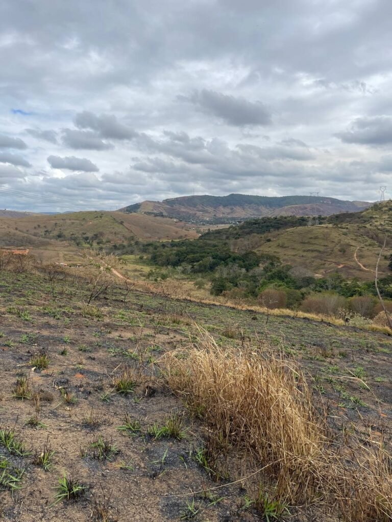Chácara de 5 Mil mts ( Próxima ao Posto Cherokee — foto 17