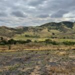 Chácara de 5 Mil mts ( Próxima ao Posto Cherokee — foto 16