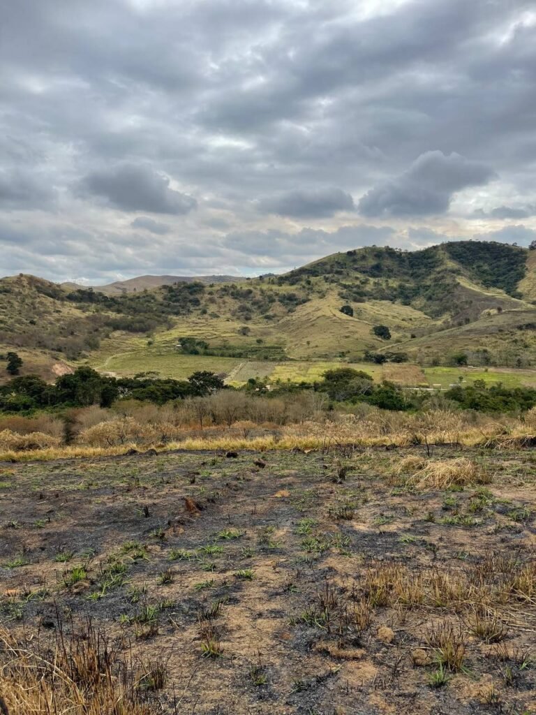Chácara de 5 Mil mts ( Próxima ao Posto Cherokee — foto 16
