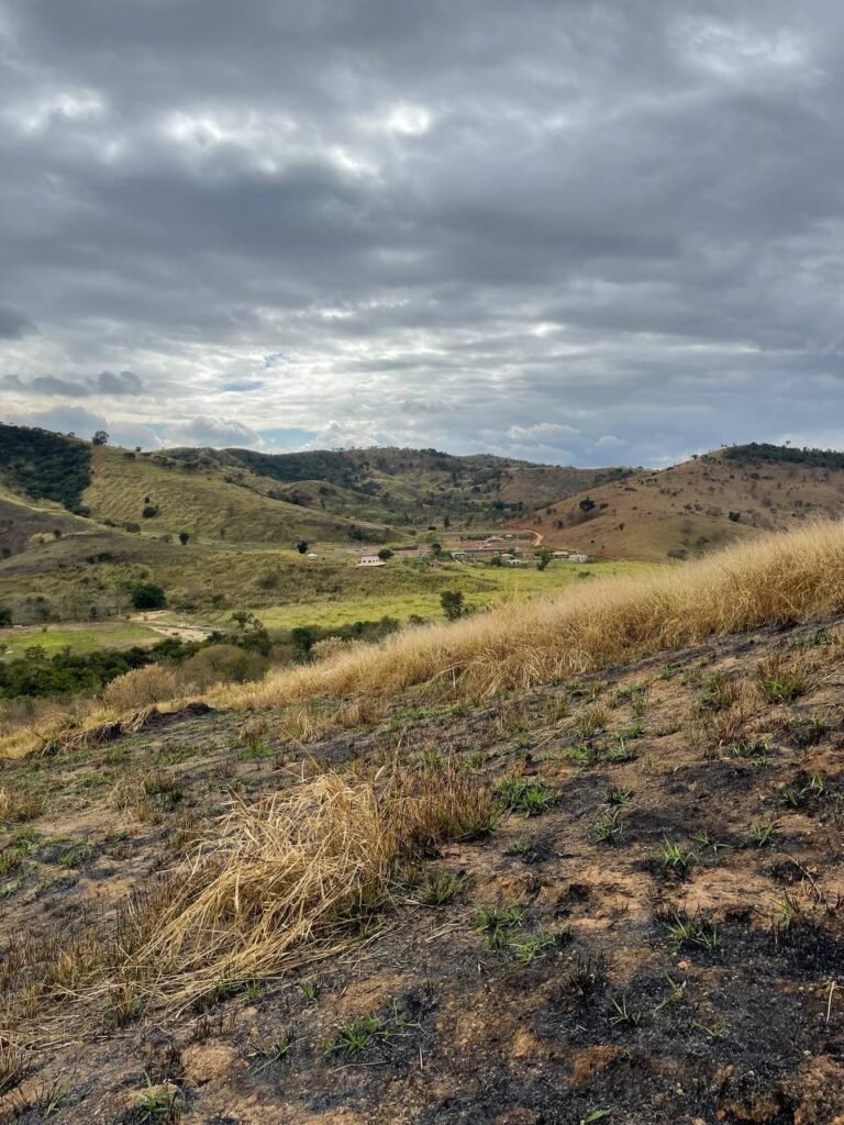 Chácara de 5 Mil mts ( Próxima ao Posto Cherokee — foto 15