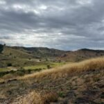 Chácara de 5 Mil mts ( Próxima ao Posto Cherokee — foto 14