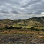 Chácara de 5 Mil mts ( Próxima ao Posto Cherokee — foto 13