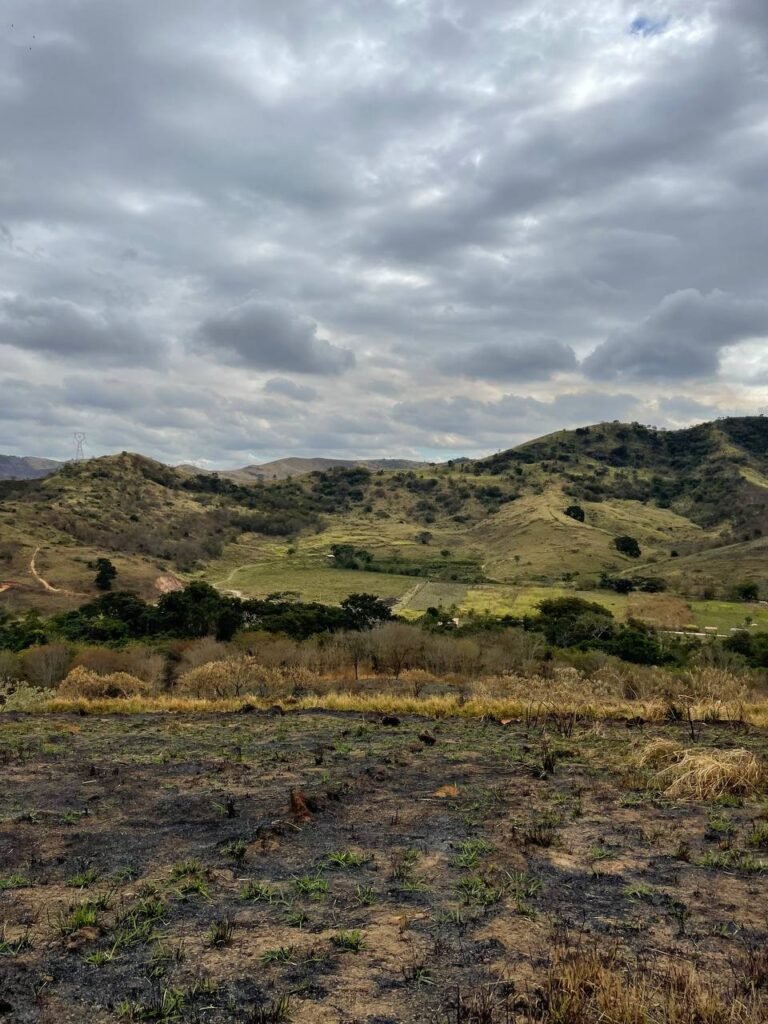 Chácara de 5 Mil mts ( Próxima ao Posto Cherokee — foto 13