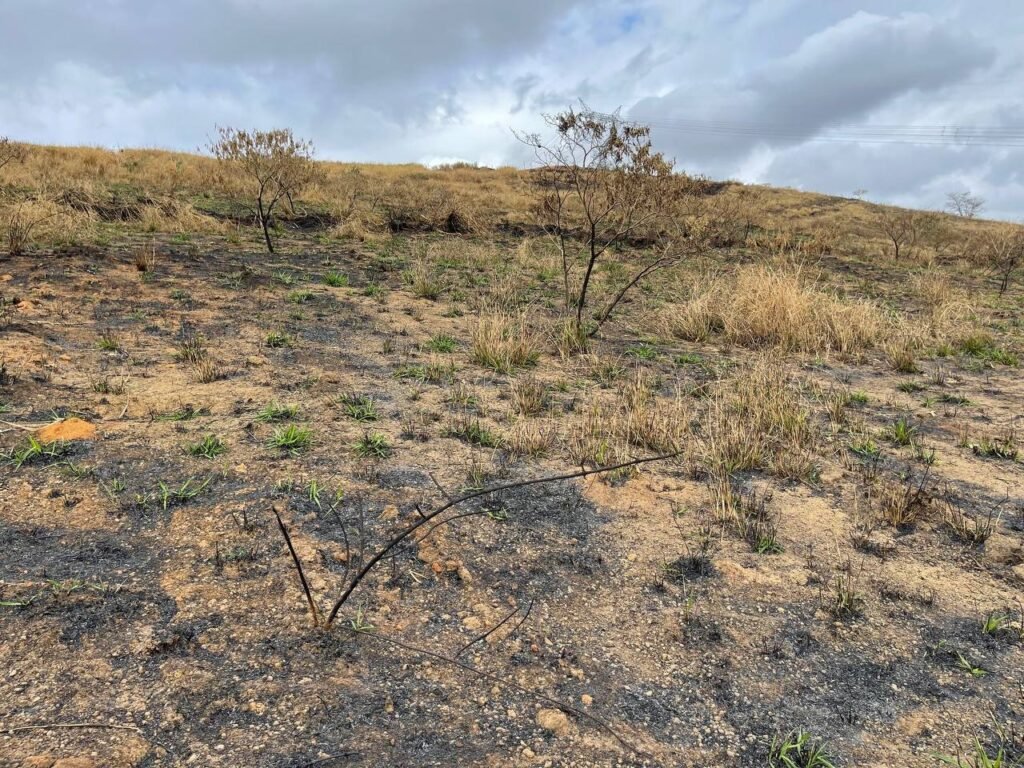 Chácara de 5 Mil mts ( Próxima ao Posto Cherokee — foto 12